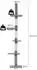 Pawhut Deckenhoch höhenverstellbar stabiler Katzenbaum mit Sisalsäulen Katzen Kletterbaum Grau 40 x 34 x 230-260 cm