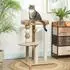 Pawhut 86 cm Katzenbaum mit Spielball für Katzen bis 7 kg Kaffee