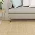 vidaXL Sisalteppich für Kratzbaum 100x300cm