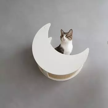 Cats Design Kletterwand große Katzen stabil Wandkratzbaum Wandbett Mond F7