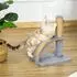 Pawhut 43 cm Kleiner Katzenbaum mit Kratzstamm mit Spielball Katzenmöbel für Katzen bis 4,5 kg Grau