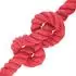vidaXL Juteseil 30mm rot, 100% Tossa-Jute (42011732)