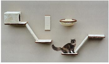 Rohrschneider Katzen Kletterwand mit Treppe 8-teilig beige
