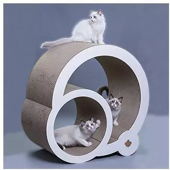CanadianCat Jumbo Galaxy walnuss