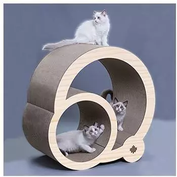 CanadianCat Jumbo Galaxy natur