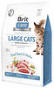 VAFO PRAHA s.r.o. Brit Care Katzenfutter für Katzen, groß, 400 g Power &...