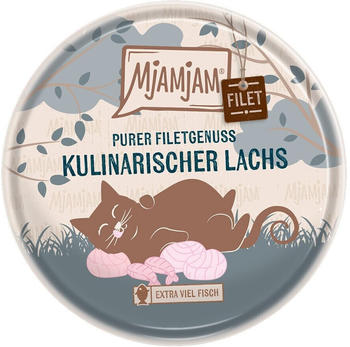 MjAMjAM Purer Filetgenuss Katze Nassfutter kulinarischer Lachs 16x80g