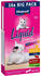 Vitakraft Liquid Snack Multipack Katzensnack 16x15g