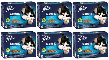 Felix Fantastic