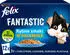 Felix Fantastic