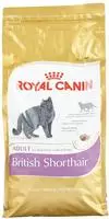 Essen, Royal Canin British Shorthair F&eth;&copy;r Erwachsene Katzen - 2 Kg