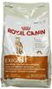ROYAL CANIN Protein Exigent 4 kg, Grundpreis: &euro; 9,12 / kg
