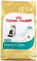 Royal Canin - Essen Kitten Maine Coon Fщr Ktzchen - 4 Kg