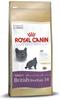 ROYAL CANIN British Shorthair Katzenfutter trocken für Britisch Kurzhaar 400 g