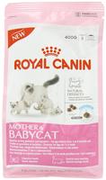 ROYAL CANIN Mother & Babycat 400 g 0,4 kg, Grundpreis: € 15,73 / kg ROYAL CANIN Mother & Babycat 400 g 0,4 kg, Grundpreis: € 15,73 / kg