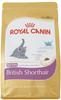 ROYAL CANIN British Shorthair Kitten 400 g 0,4 kg, Grundpreis: &euro; 19,97 / kg