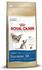 Royal Canin Siamese Adult Trockenfutter
