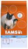 IAMS Advanced Nutrition Adult Cat mit Seefisch - 10 kg (Katzen-Trockenfutter),