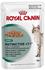 Royal Canin Feline Digest Sensitive Nassfutter