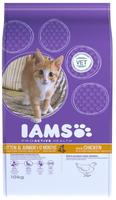 IAMS Advanced Nutrition Kitten mit Frischem Huhn - 10 kg (Katzenfutter), Grundpreis: IAMS Advanced Nutrition Kitten mit Frischem Huhn - 10 kg (Katzenfutter), Grundpreis: