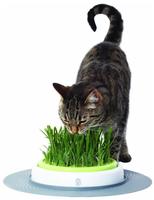 Hagen CH-7551, Hagen Catit Senses Gartengras-Set (CH-7551)
