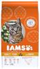 3 kg IAMS Advanced Nutrition Kitten zum Sonderpreis! - Frischem Huhn,...