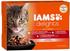 Iams Delights Adult in Sauce Land Mix 12 x 85 g