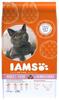 IAMS Cat Adult All Breeds Salmon mit Lachs und Huhn 3 kg