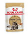 Royal Canin Maine Coon Adult Nassfutter 85g