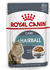 Royal Canin Hairball Care in Soße 12x85g
