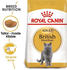 Royal Canin Feline Breed Nutrition British Shorthair Adult Trockenfutter