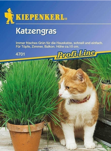 Kiepenkerl Profi-Line Katzengras