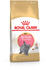 Royal Canin British Shorthair Kitten Trockenfutter
