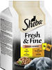 Sheba Nassfutter Katze mit Huhn & Truthahn, fresh & fine, Multipack (6x50 g)...