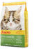 Josera Kitten grainfree Trockenfutter