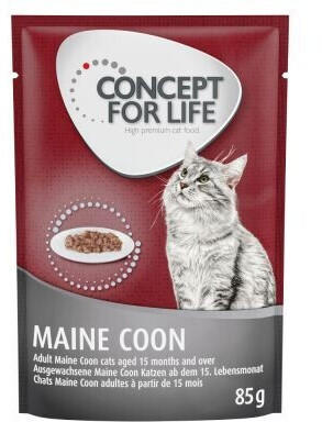 Concept for Life Maine Coon Adult Ragout 85g