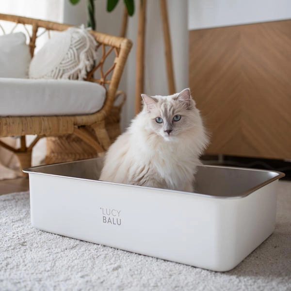LucyBalu Katzentoilette STEELOO weiß