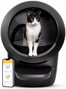 schwarz: Whisker Litter-Robot 4