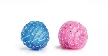 Beeztees : 2 x Ball mit Perlen Ø 5cm #0425070