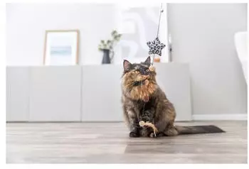 Trixie Spielangel Stern Leo mit Katzenminze