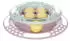 Trixie Junior Kitten Circle ø 24 cm