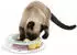 Trixie Junior Kitten Circle ø 24 cm