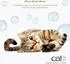 Catit Katzenminze - Katzenminze
