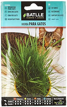 Family Batlle Katzengras (098101BOLS)