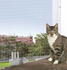 Trixie Katzenschutznetz 8x3m transparent (44343)