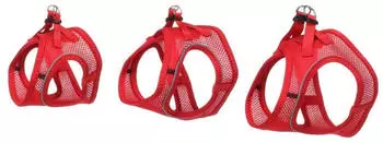 Flamingo Katze Geschirr Step&Go Berta Rot S 24-29cm 31-35cm
