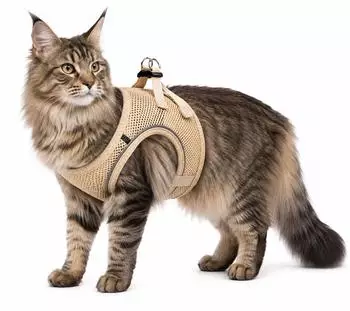 Flamingo Katzen Geschirr Step & Go Berta beige Gr&ouml;&szlig;e: L