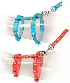 Duvo+ Katzen-Spazierset Cool Cats