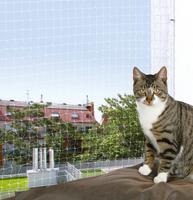 Trixie 44313, Trixie Schutznetz transparent, Ma&szlig;e: 3 x 2 m