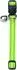HUNTER Katzenhalsband Flashlight